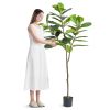 VEVOR Artificial Fiddle Leaf Fig Tree, 6 FT, Secure PE Material & Anti-Tip Tilt Protection Low-Maintenance Faux Plant, Lifelike Green Fake Potted Tree